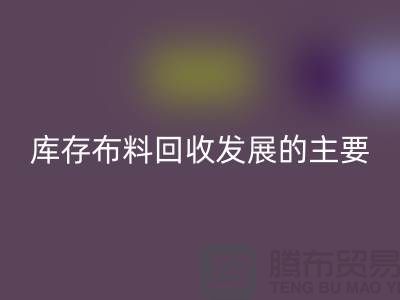 库存布料星空体育(CHINA)国际平台_XK SPORTS发展的主要因素有哪些-上海库存布料星空体育(CHINA)国际平台_XK SPORTS公司