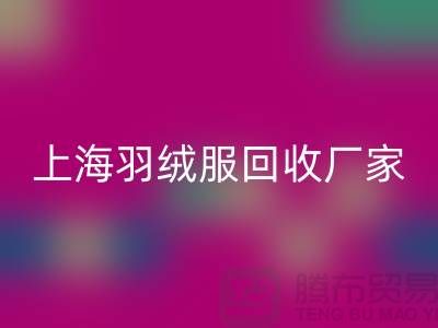羽绒服LD乐动·（中国）官方网站：环保与经济的双重考量，上海厂家引领行业新风尚