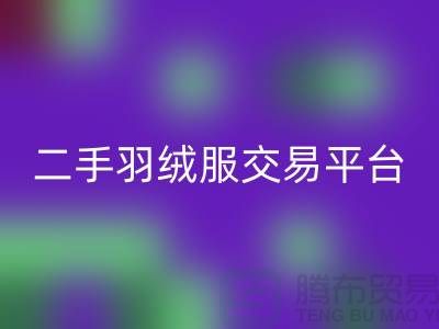 波司登羽绒服LD乐动·（中国）官方网站平台，二手羽绒服环保与时尚的完美结合