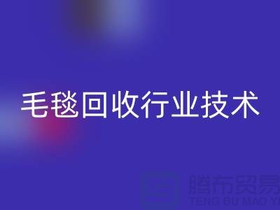 毛毯LD乐动·（中国）官方网站行业技术创新推动发展，政策支持力度加大