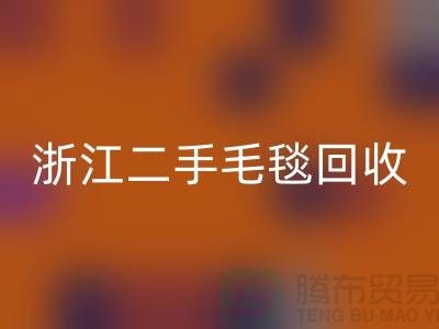 二手毛毯LD乐动·（中国）官方网站，旧物新生的【浙江，上海，江苏】绿色的库存之旅