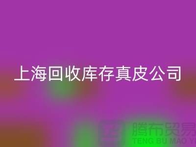 环保与创新：LD乐动·（中国）官方网站库存真皮和羊皮的重要性_上海腾布贸易ShTengBu.com