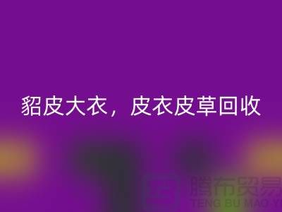 貂皮大衣LD乐动·（中国）官方网站，皮衣皮草LD乐动·（中国）官方网站，高档大衣LD乐动·（中国）官方网站-上海库存服装LD乐动·（中国）官方网站公司
