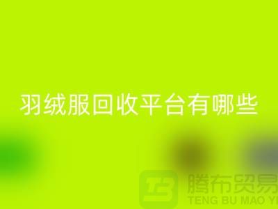 羽绒服LD乐动·（中国）官方网站平台有哪些公司或者品牌-LD乐动·（中国）官方网站