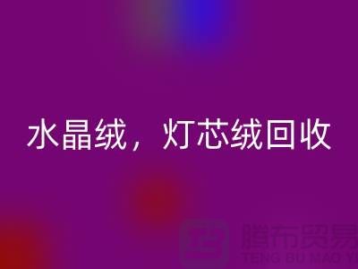 韩国绒LD乐动·（中国）官方网站，水晶绒LD乐动·（中国）官方网站，灯芯绒LD乐动·（中国）官方网站——专业绒布面料LD乐动·（中国）官方网站厂家