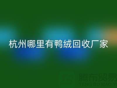 揭秘羽绒LD乐动·（中国）官方网站市场，每斤价值几何？杭州鸭绒LD乐动·（中国）官方网站厂家