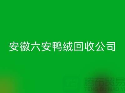 让羽绒LD乐动·（中国）官方网站加工成为绿色产业的新引擎-安徽六安鸭绒LD乐动·（中国）官方网站公司