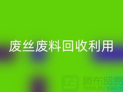 废丝LD乐动·（中国）官方网站市场：废料LD乐动·（中国）官方网站利用与废丝LD乐动·（中国）官方网站造粒的新时代