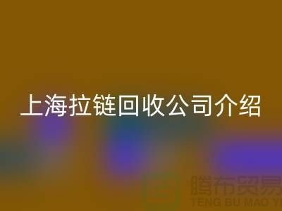 拉链LD乐动·（中国）官方网站市场前景分析——上海拉链LD乐动·（中国）官方网站公司的专业库存LD乐动·（中国）官方网站服务