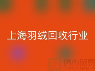 #### 上海羽绒LD乐动·（中国）官方网站厂家推动行业发展，展望未来，创新发展