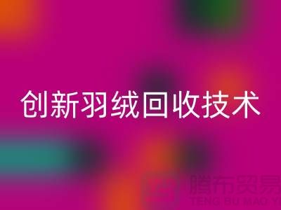 创新羽绒LD乐动·（中国）官方网站技术，环保的未来