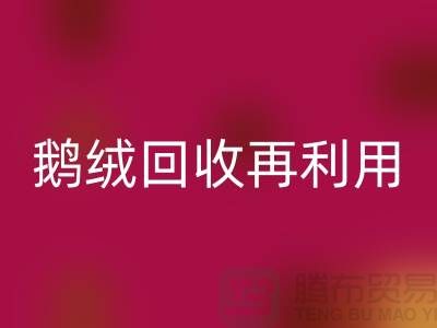 苏州羽绒LD乐动·（中国）官方网站厂家 专业鸭绒LD乐动·（中国）官方网站价格 鹅绒LD乐动·（中国）官方网站再利用