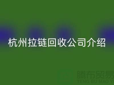 库存拉链LD乐动·（中国）官方网站市场前景分析——杭州拉链LD乐动·（中国）官方网站公司篇