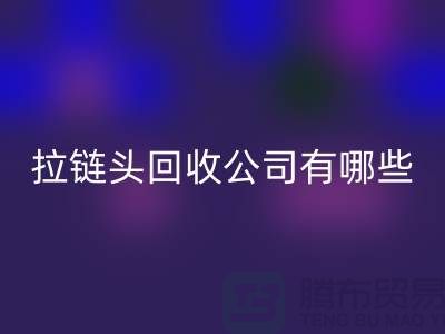 拉链头LD乐动·（中国）官方网站公司有哪些名字或者品牌-上海拉链LD乐动·（中国）官方网站市场