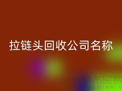 ### 拉链头LD乐动·（中国）官方网站公司名称的选择与品牌塑造-上海拉链LD乐动·（中国）官方网站厂家