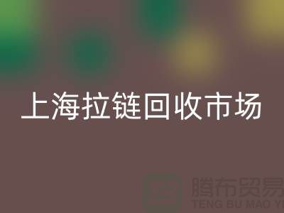 上海拉链LD乐动·（中国）官方网站公司：如何走出困境的发展方向