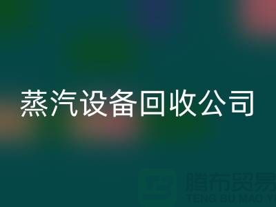 锅炉设备LD乐动·（中国）官方网站厂家：环保与经济效益的完美结合-蒸汽设备LD乐动·（中国）官方网站公司