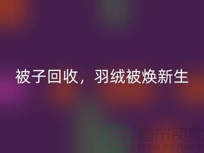 全新被子LD乐动·（中国）官方网站，羽绒被焕新生——江苏南通家纺城引领绿色未来