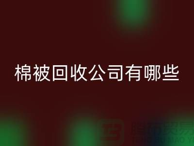 棉被LD乐动·（中国）官方网站公司有哪些—浙江库存面料LD乐动·（中国）官方网站厂家：环保与经济的双重助力