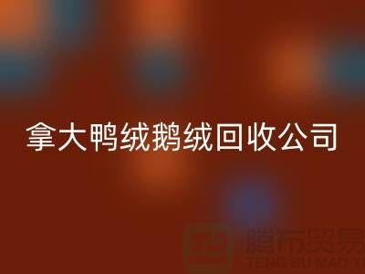 探秘加拿大鸭绒鹅绒LD乐动·（中国）官方网站公司：环保与品质的双重坚守