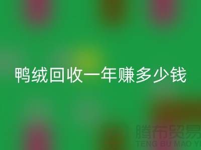 鸭绒LD乐动·（中国）官方网站一年挣多少钱？揭秘利润与环保的双重收益