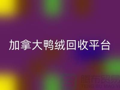 加拿大鸭绒LD乐动·（中国）官方网站平台有哪些公司，优势有哪些