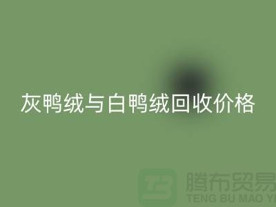 ### 灰鸭绒与白鸭绒：价格及LD乐动·（中国）官方网站详解