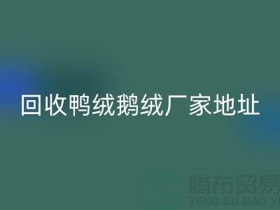 LD乐动·（中国）官方网站鸭绒鹅绒厂家介绍以及地址