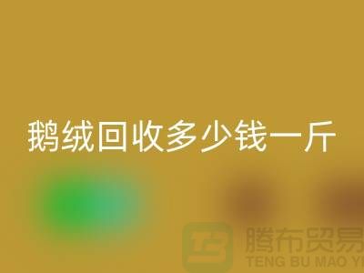 加拿大鸭绒LD乐动·（中国）官方网站公司探秘——鹅绒LD乐动·（中国）官方网站多少钱一斤