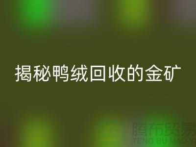 揭秘鸭绒LD乐动·（中国）官方网站的金矿，一年能挣多少钱？上海羽绒LD乐动·（中国）官方网站厂家