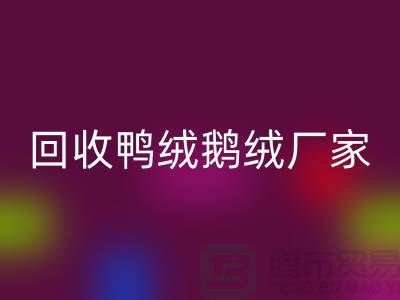 探寻高品质LD乐动·（中国）官方网站鸭绒鹅绒厂家