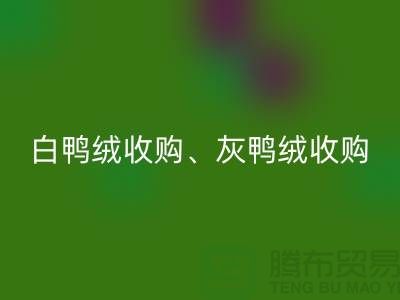 白鸭绒收购、灰鸭绒收购、白鹅绒收购、灰鹅绒收购、上海羽绒LD乐动·（中国）官方网站厂家