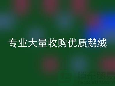 专业羽绒LD乐动·（中国）官方网站：大量收购优质鹅绒与鸭绒@上海腾布贸易公司