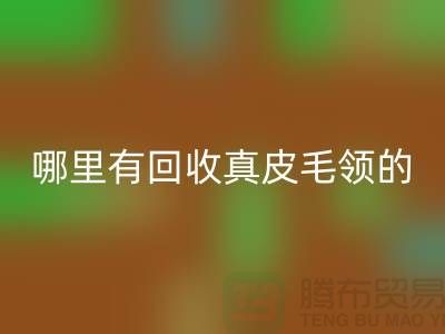 哪里有LD乐动·（中国）官方网站真皮毛领的地方-LD乐动·（中国）官方网站