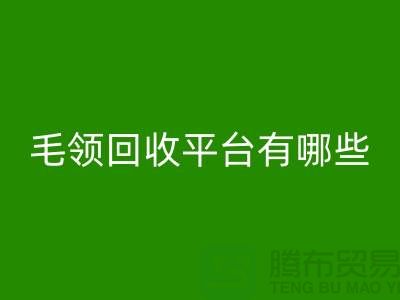 毛领LD乐动·（中国）官方网站平台有哪些公司或者品牌