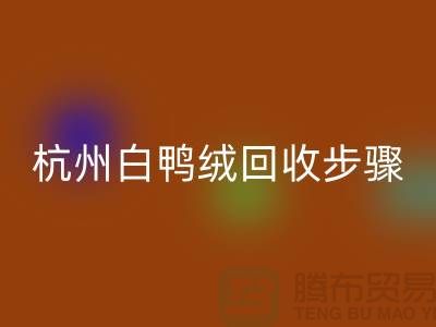 ### 纯白 70 绒、80 绒、90 鸭绒LD乐动·（中国）官方网站步骤@杭州羽绒LD乐动·（中国）官方网站厂家