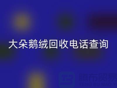 ### 日标羽绒LD乐动·（中国）官方网站，大朵鹅绒LD乐动·（中国）官方网站电话查询，南京鸭绒LD乐动·（中国）官方网站公司