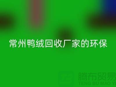 # 专业羽绒LD乐动·（中国）官方网站：常州鸭绒LD乐动·（中国）官方网站厂家的环保与价值之旅