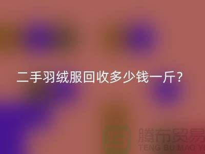 《二手羽绒服LD乐动·（中国）官方网站多少钱一斤？》