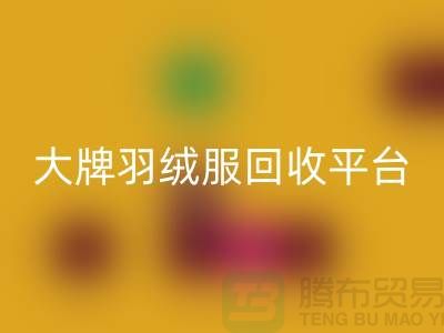 羽绒服焕新记：大牌LD乐动·（中国）官方网站，温暖再续