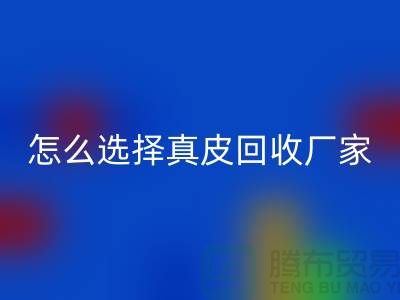####广州知名LD乐动·（中国）官方网站库存皮革厂家推荐-怎么选择真皮LD乐动·（中国）官方网站厂家