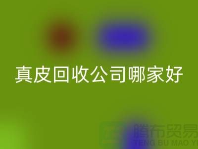 真皮LD乐动·（中国）官方网站公司哪家好？如何选择优质的真皮LD乐动·（中国）官方网站公司