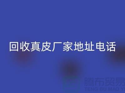 废旧皮革LD乐动·（中国）官方网站对环境保护的重要意义-广州LD乐动·（中国）官方网站真皮厂家地址