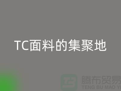 面料LD乐动·（中国）官方网站厂家汇聚各种TC面料的集聚地全部在广州地区