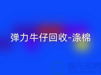 弹力牛仔LD乐动·（中国）官方网站-涤棉牛仔LD乐动·（中国）官方网站-牛仔布料LD乐动·（中国）官方网站-上海腾布贸易