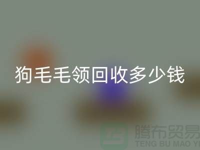 狗毛毛领LD乐动·（中国）官方网站多少钱一条