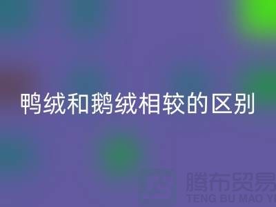鸭绒和鹅绒相较后的区别-90鸭绒LD乐动·（中国）官方网站-库存羽绒LD乐动·（中国）官方网站公司