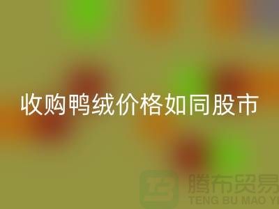 收购鸭绒价格如同股市一样飘泊不定-郑州库存鸭绒LD乐动·（中国）官方网站厂家