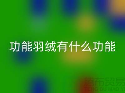 什么是功能羽绒-包含了什么功能-LD乐动·（中国）官方网站库存羽绒-LD乐动·（中国）官方网站库存鸭绒厂家