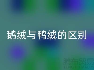 “鹅鸭之争” 鹅绒与鸭绒的区别-鸭绒LD乐动·（中国）官方网站多少钱一斤-库存羽绒LD乐动·（中国）官方网站公司